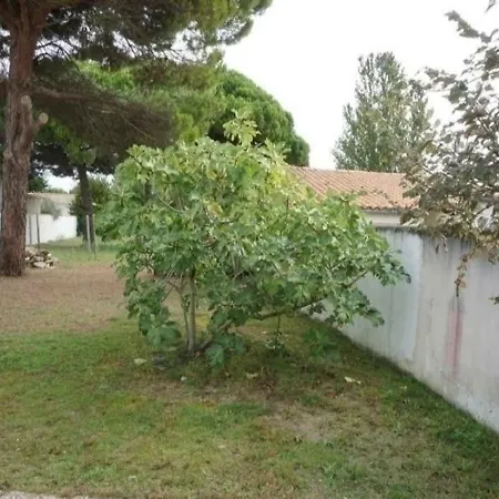 House Ile De Re Vacances Paisibles 6 Personnes * La Couarde-sur-Mer
