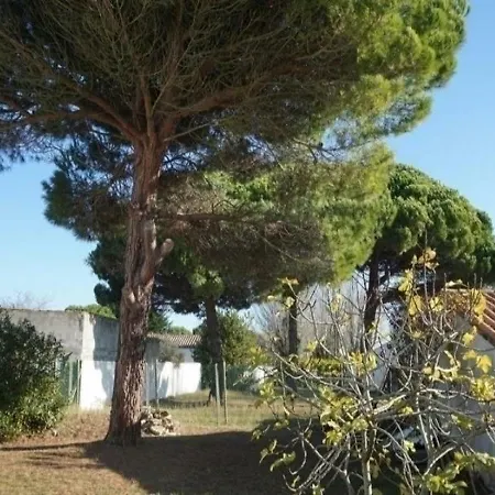 Vila House Ile De Re Vacances Paisibles 6 Personnes La Couarde-sur-Mer